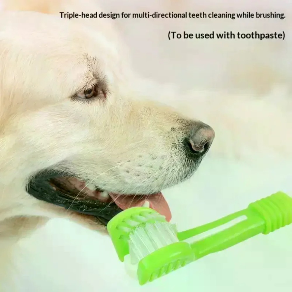 3 Sided Pet Toothbrush Dog Cat - Teeth Whitening Mouthwash 评论和价格