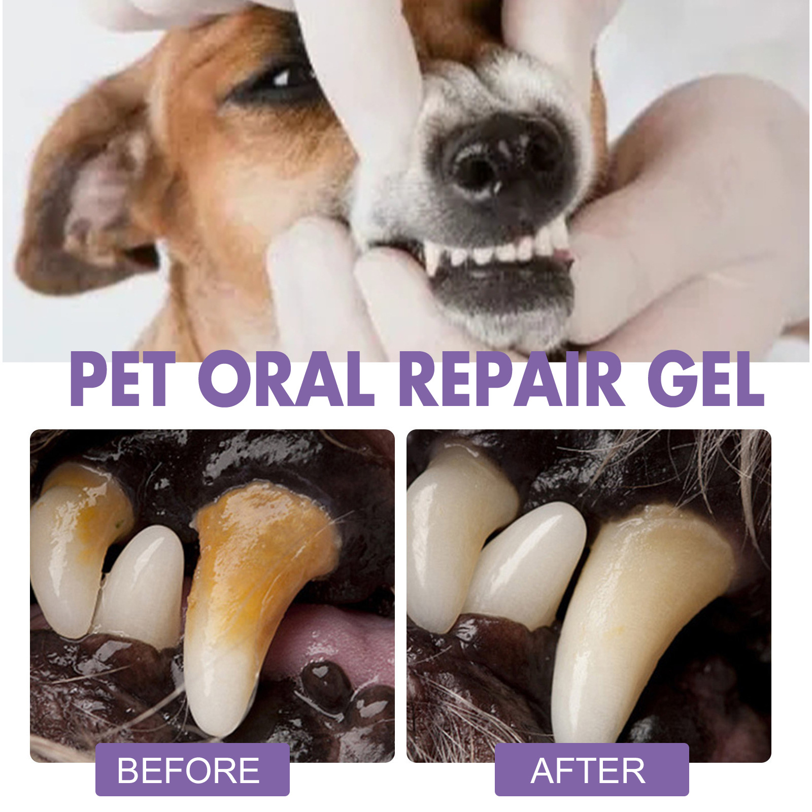 Pet Oral Repair Gel Puppy Tart - Teeth Whitening Results 评论和价格