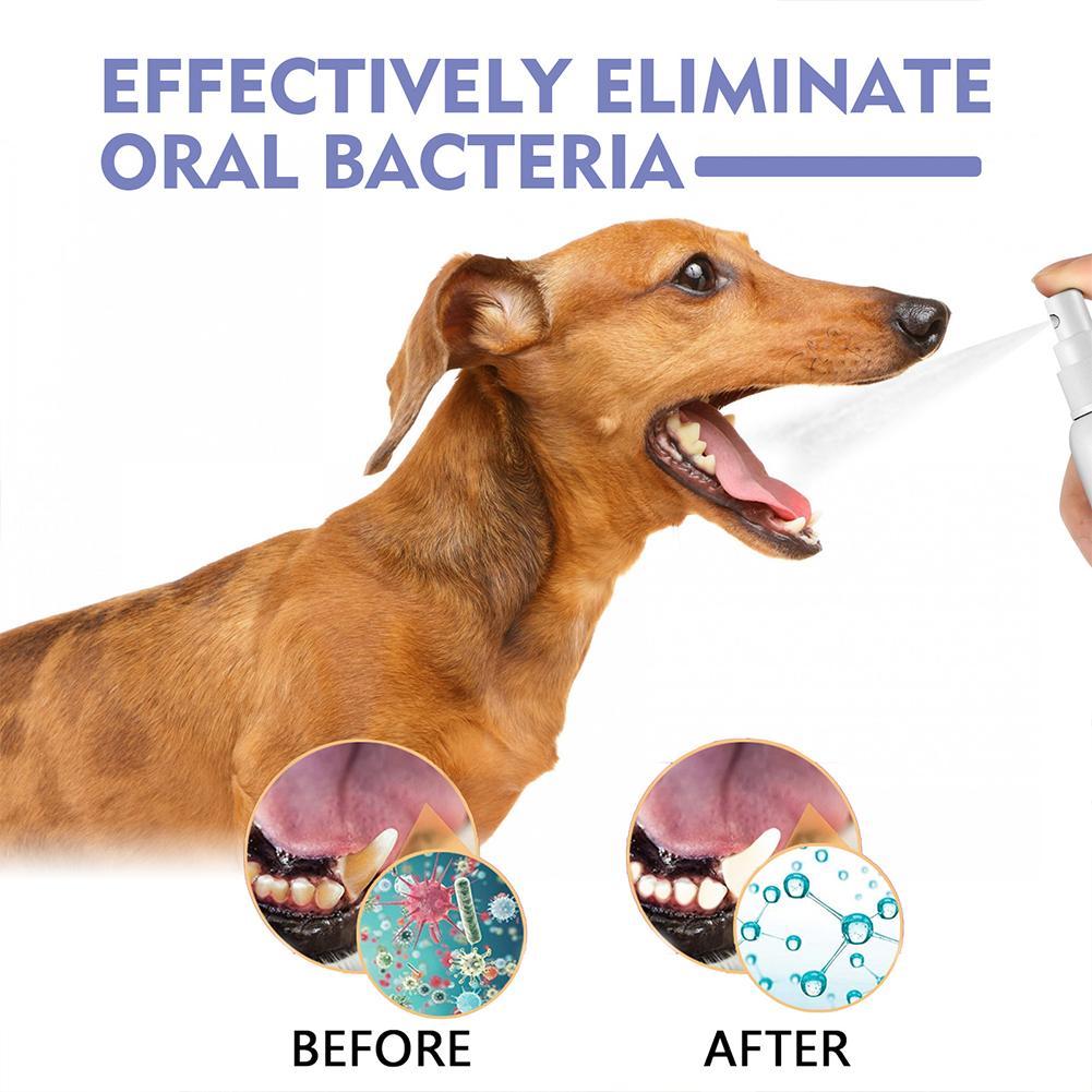 Pet Oral Cleaning Spray Mouth  - Teeth Whitening Products 评论和价格